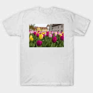 Tulips in Meersburg - Lake Constance T-Shirt